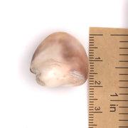 Santa Margarita Pearl 52cts #83782-33