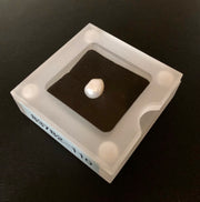 Santa Margarita Pearl 2.56cts #83782-110