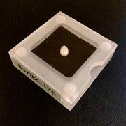 Santa Margarita Pearl 1.19cts #83782-176